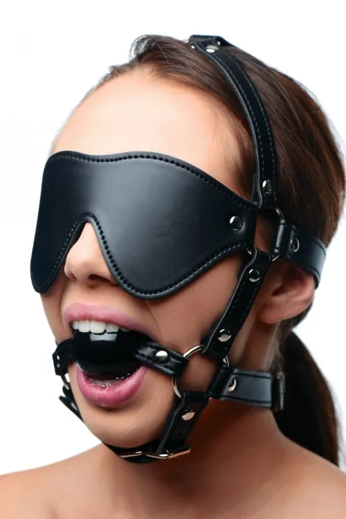 Blindfold Harness   Ball Gag