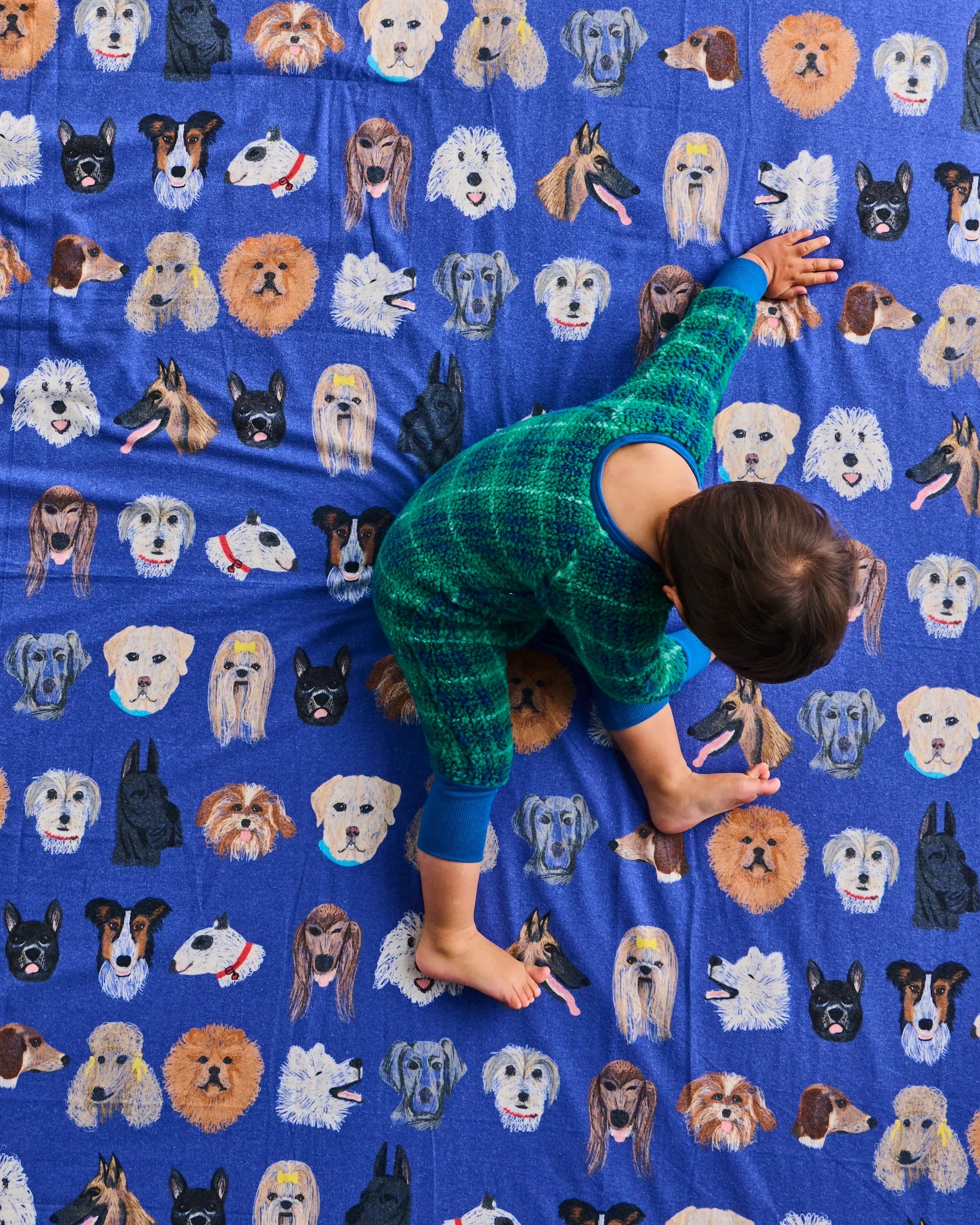Dog Park Blue Flannelette Flat Sheet