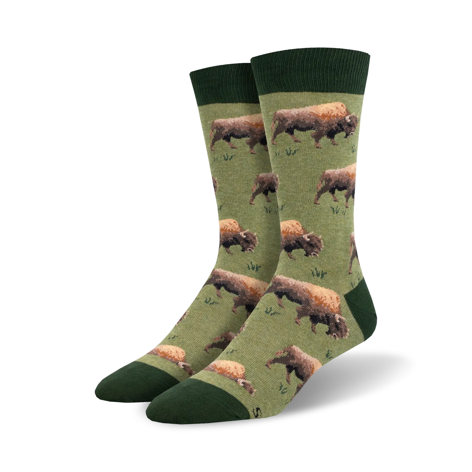Grazing Bison
